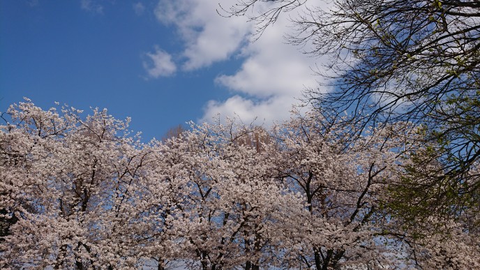 f:id:shittantan:20210403170758j:plain