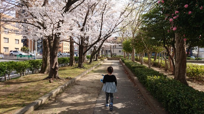 f:id:shittantan:20210403170820j:plain