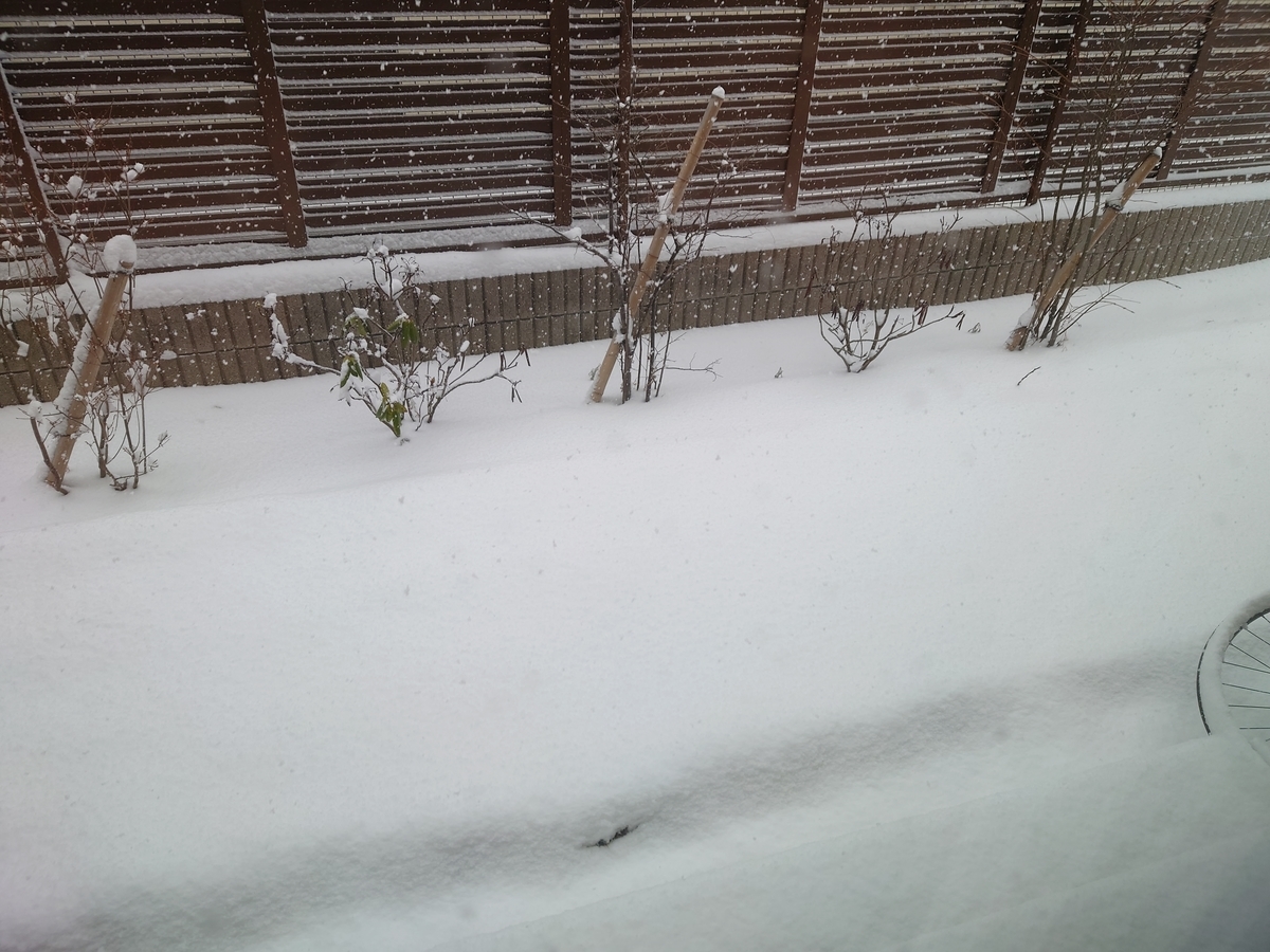 f:id:shittantan:20220112101209j:plain