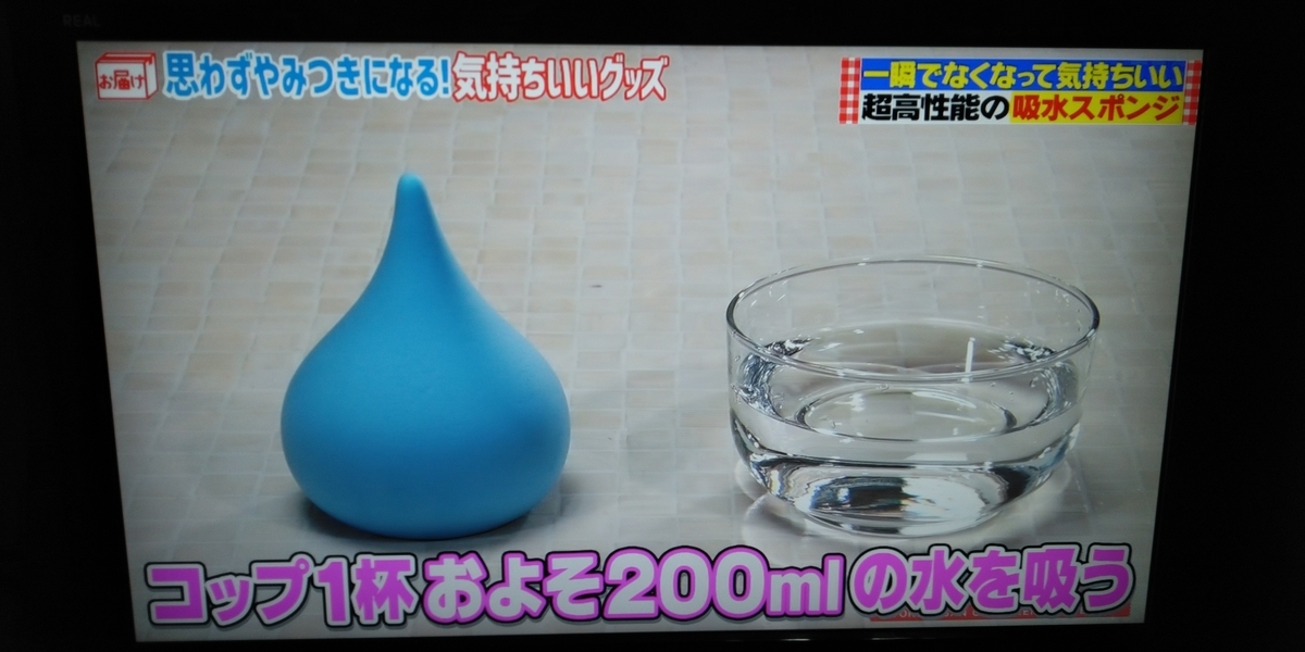 【所さんお届けモノです】6/21「超吸水スポンジ☆スウウ SUUUシズク＆新作 SUUU石＆丸ごとスウノ」詳細＆お取り寄せ 購入レポ