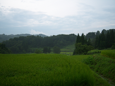 20080819170918
