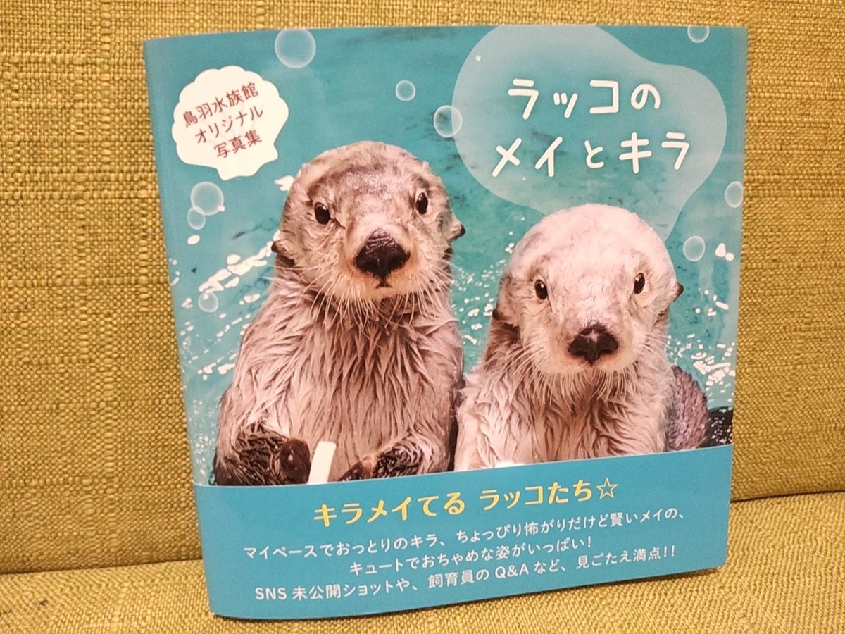 ラッコのメイちゃんとキラちゃんが可愛すぎる 鳥羽水族館に行ってきた シウの談話室