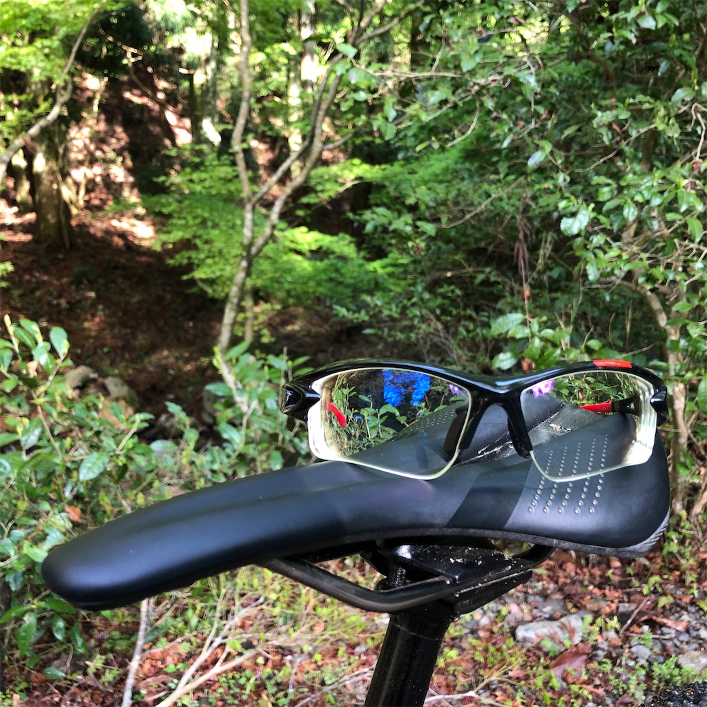 f:id:shiverchi-blog:20210419123138j:image