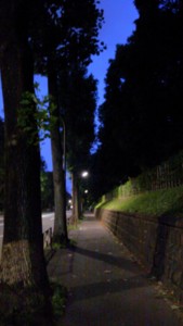 f:id:shiyi-2008:20130716191847j:image