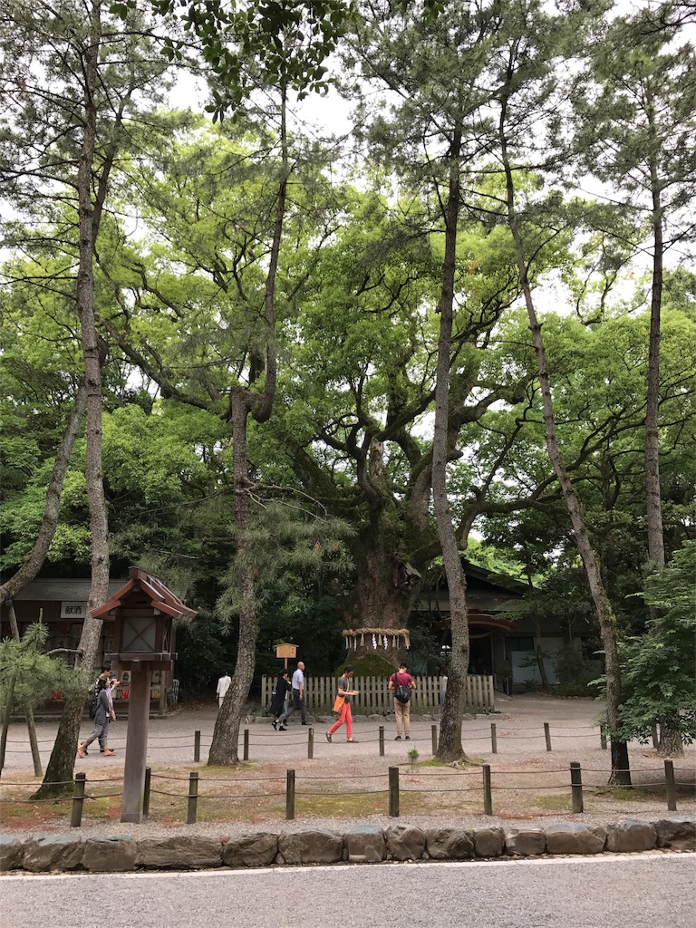 f:id:shiyotsukaki:20170601155608j:image f:id:shiyotsukaki:20170601155608j:image
