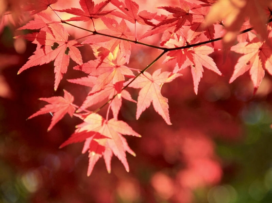 f:id:shiyutan1347:20111218163222j:image f:id:shiyutan1347:20111218163222j:image