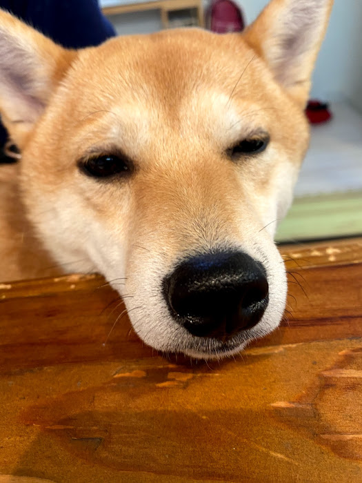 f:id:shiyuzevo:20201122183809j:plain