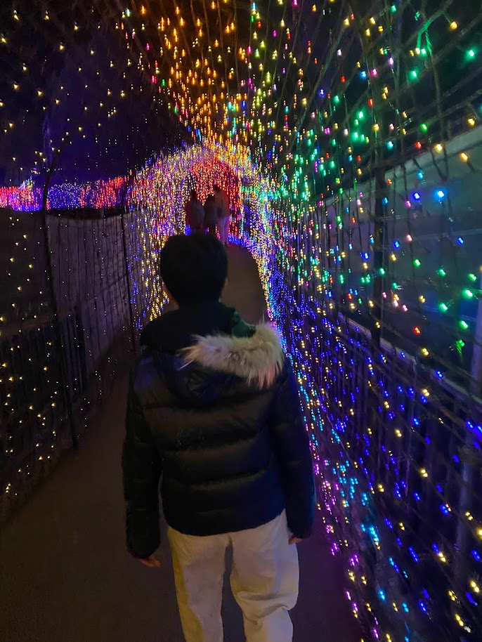 グランイルミ 伊豆グランパル公園 に行ってきた 僕の本音口コミを紹介します ゲームと柴犬は神