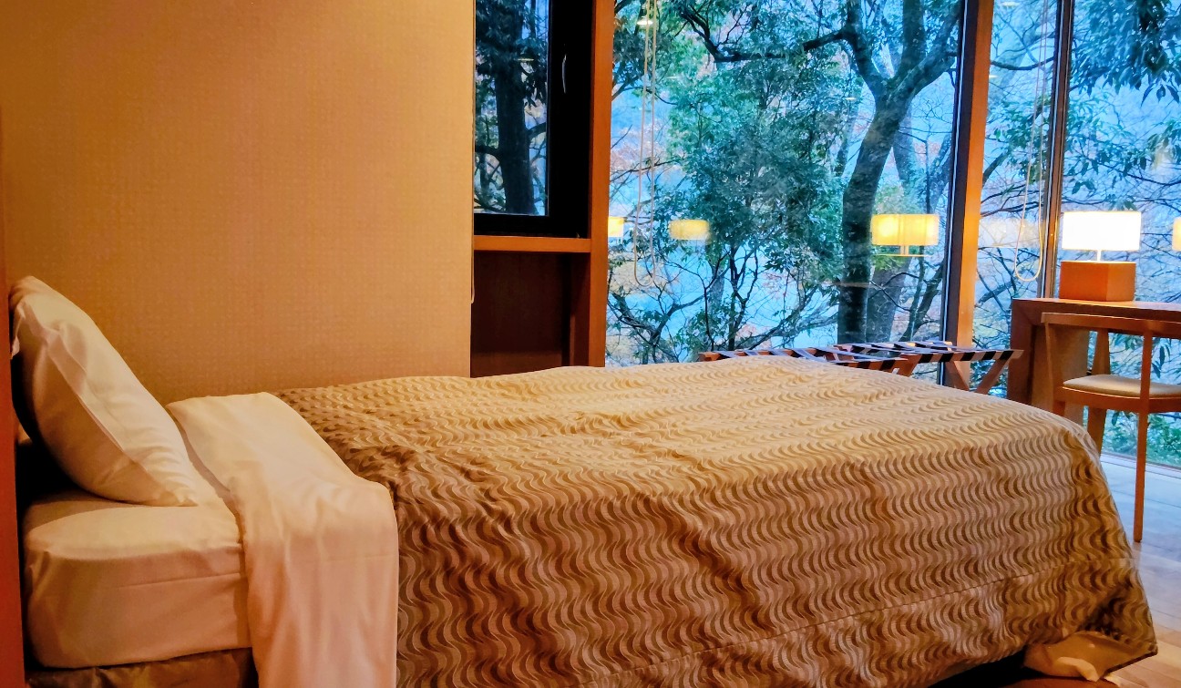 f:id:shiz0501421:20251127164501j:image