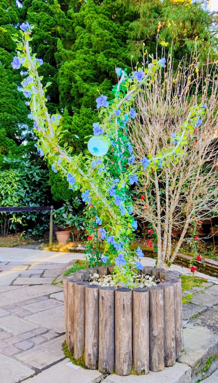 f:id:shiz0501421:20251129190105j:image