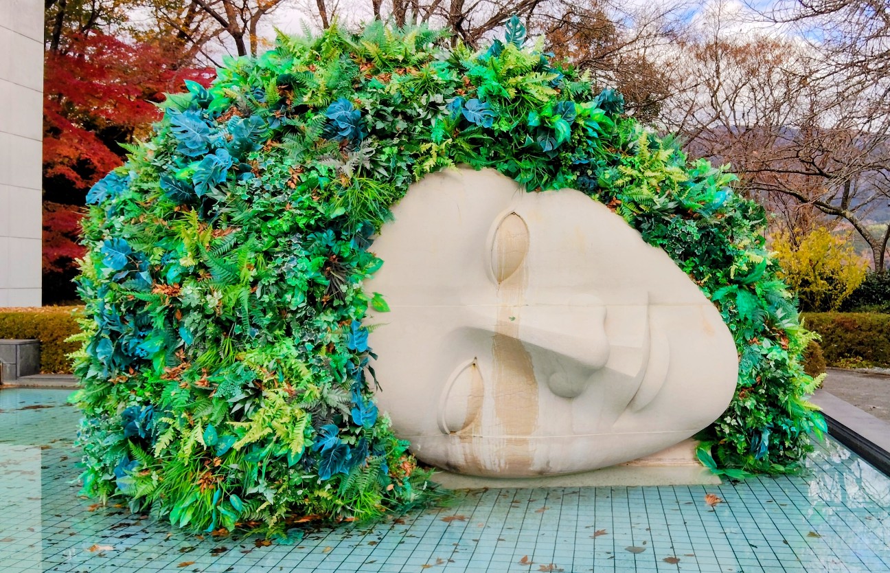 f:id:shiz0501421:20251130095547j:image