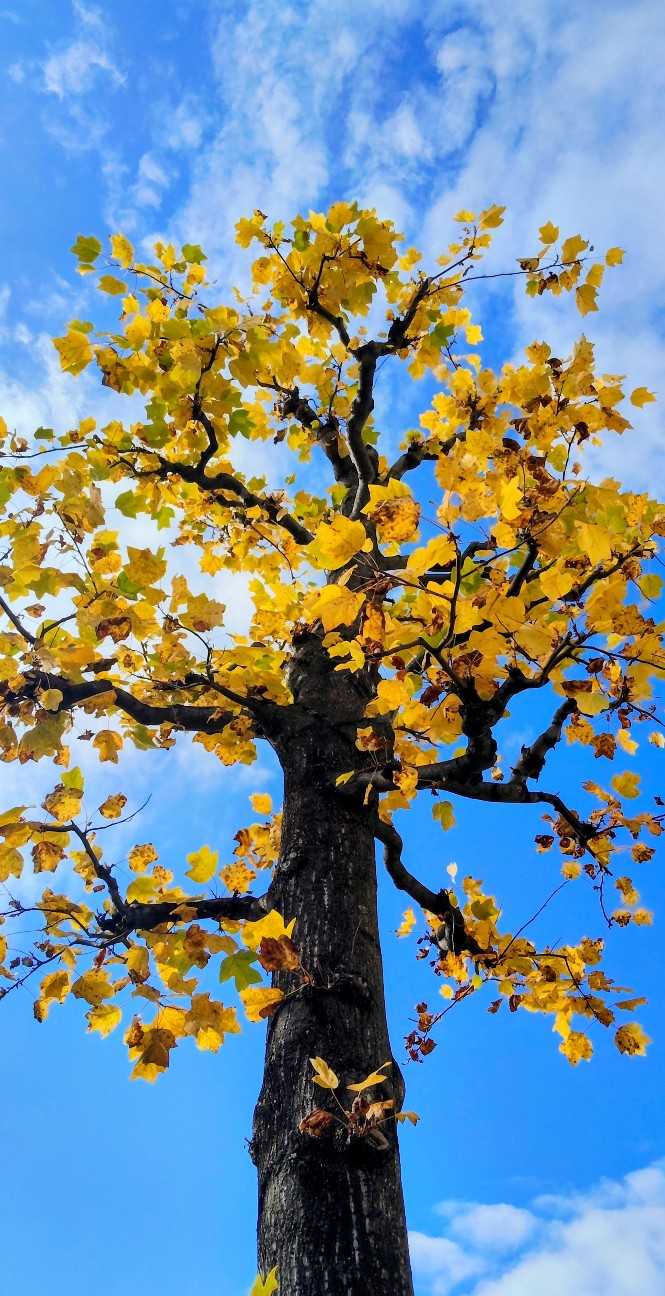 f:id:shiz0501421:20251222143220j:image