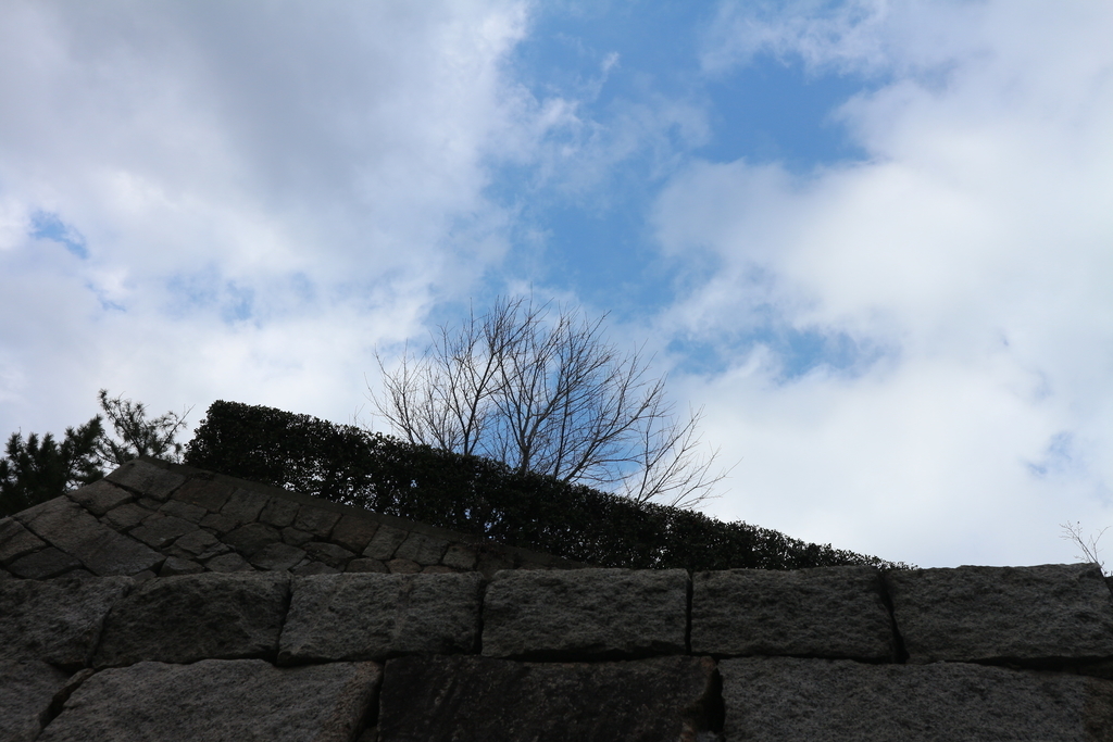 f:id:shiz1:20190221035010j:plain