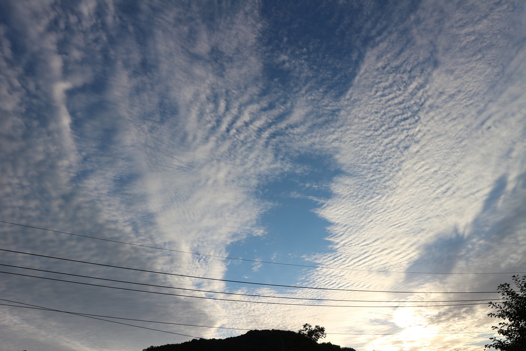 f:id:shiz1:20190222235011j:plain f:id:shiz1:20190222235011j:plain