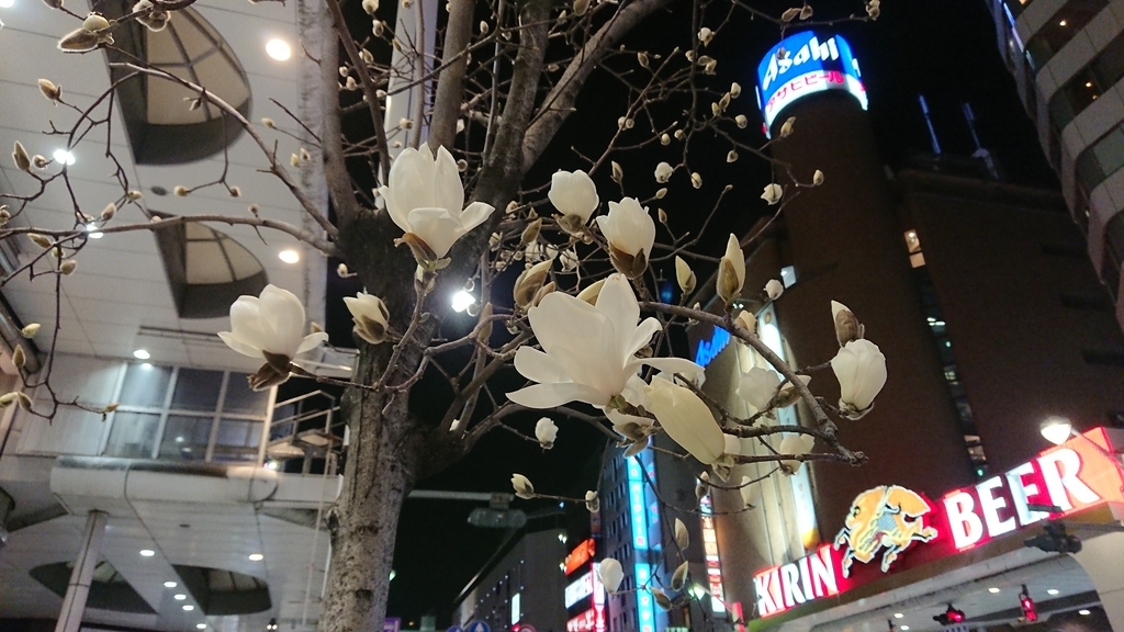 f:id:shiz1:20190302004529j:plain