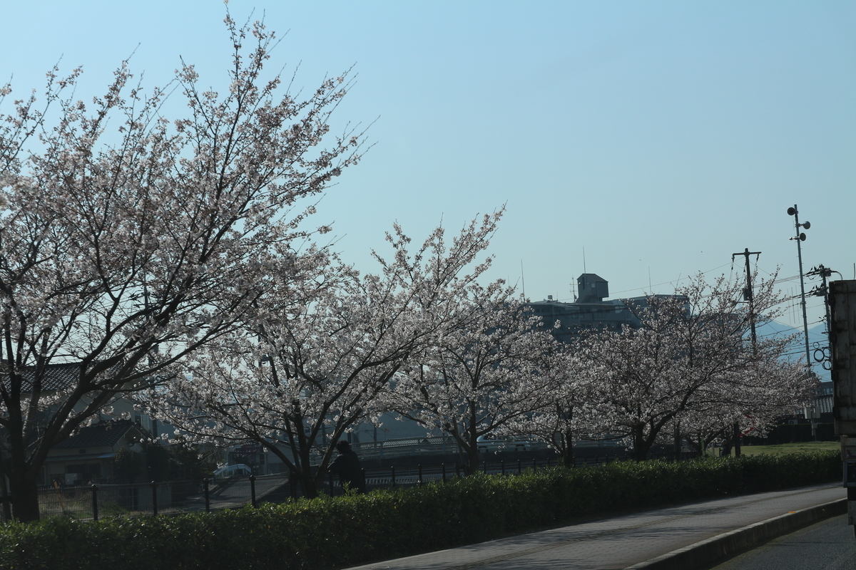 f:id:shiz1:20190404224459j:plain