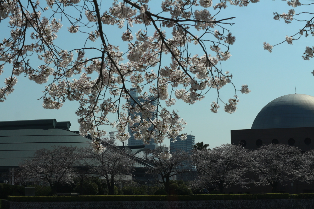 f:id:shiz1:20190404230529j:plain