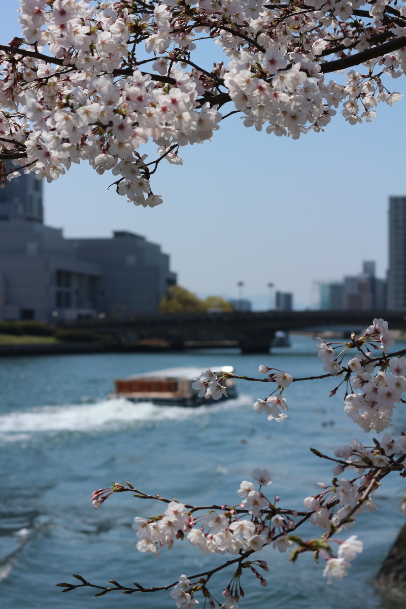 f:id:shiz1:20190405003823j:plain