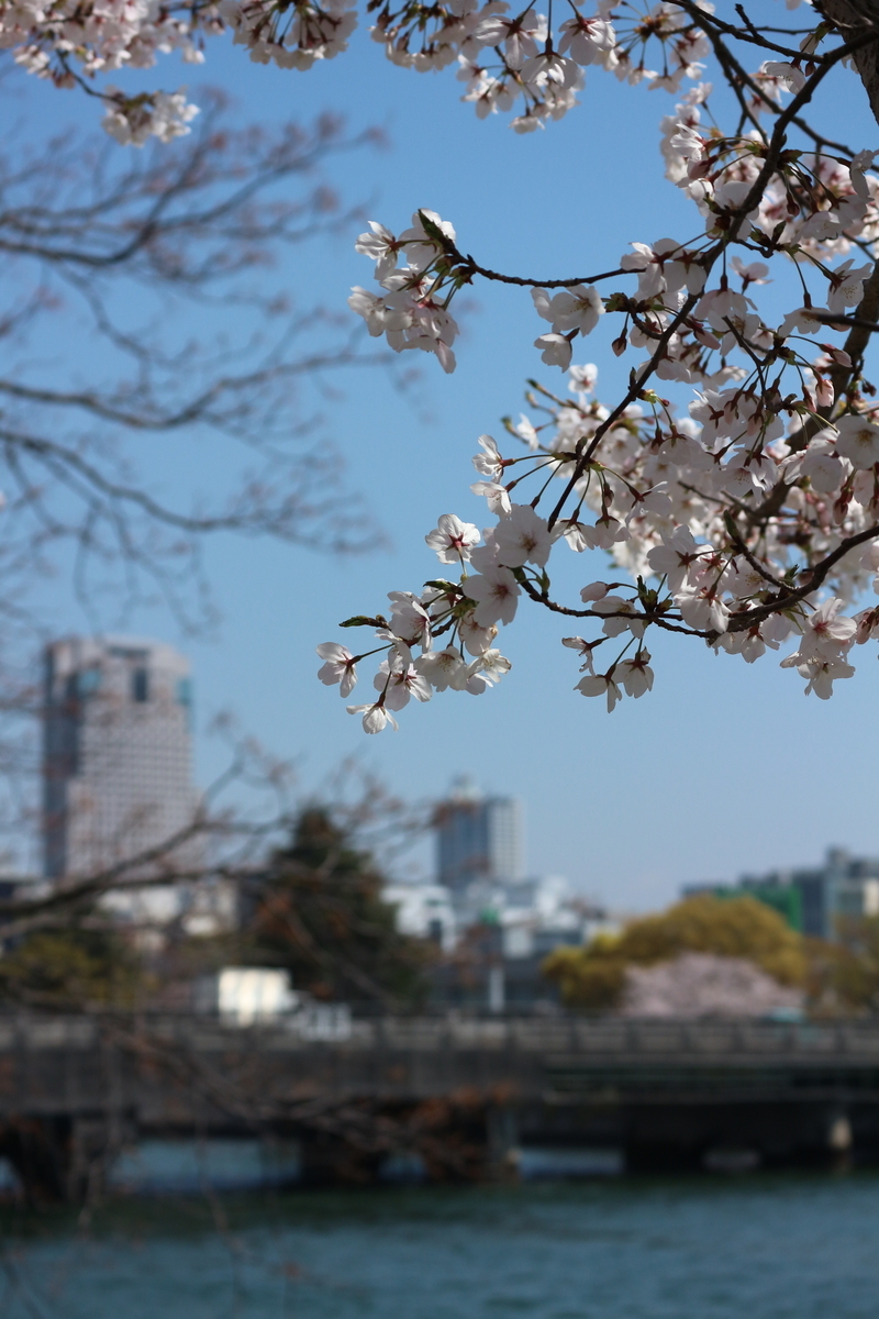 f:id:shiz1:20190405004922j:plain