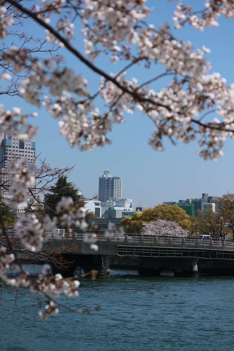 f:id:shiz1:20190405005112j:plain