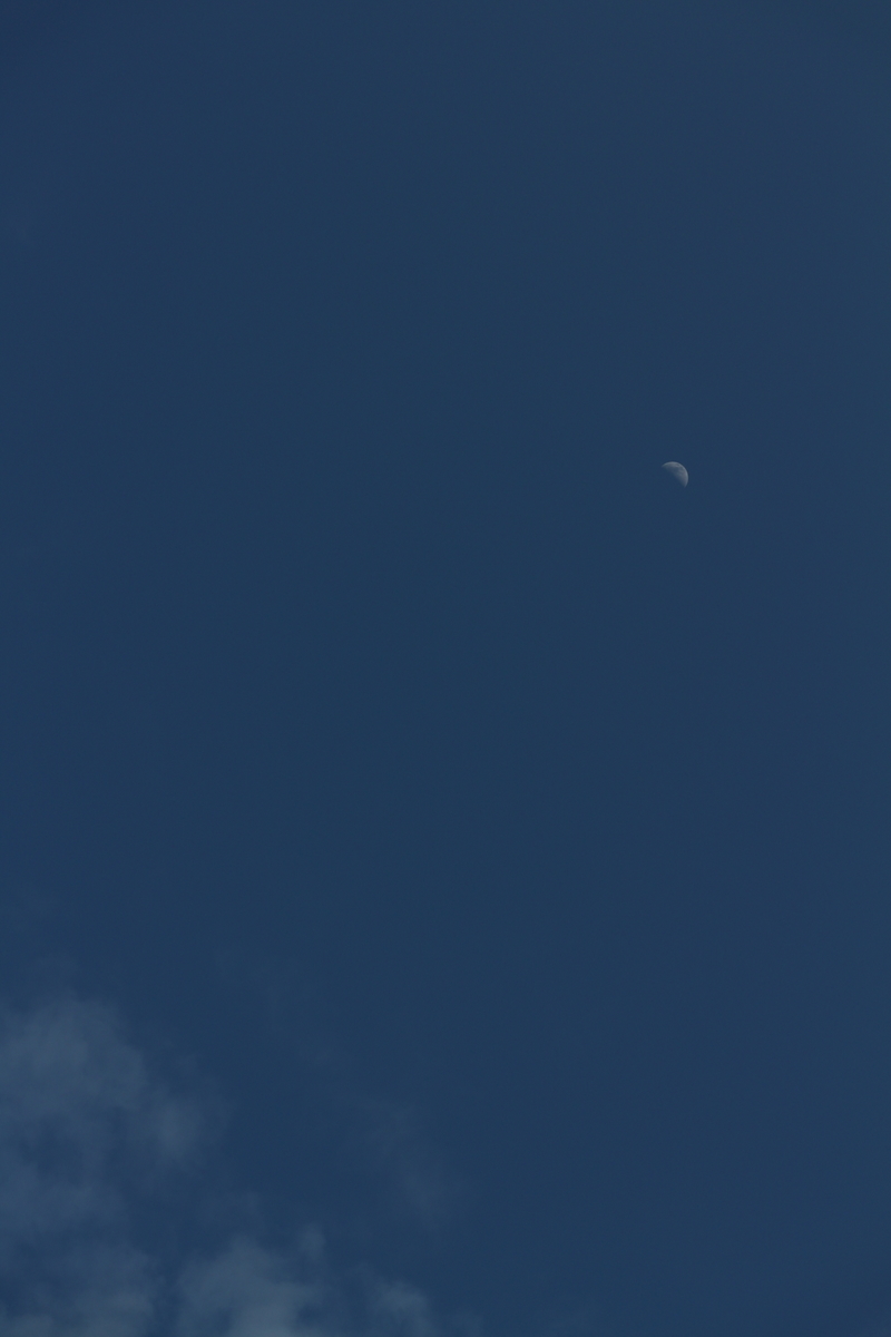 f:id:shiz1:20190413012854j:plain