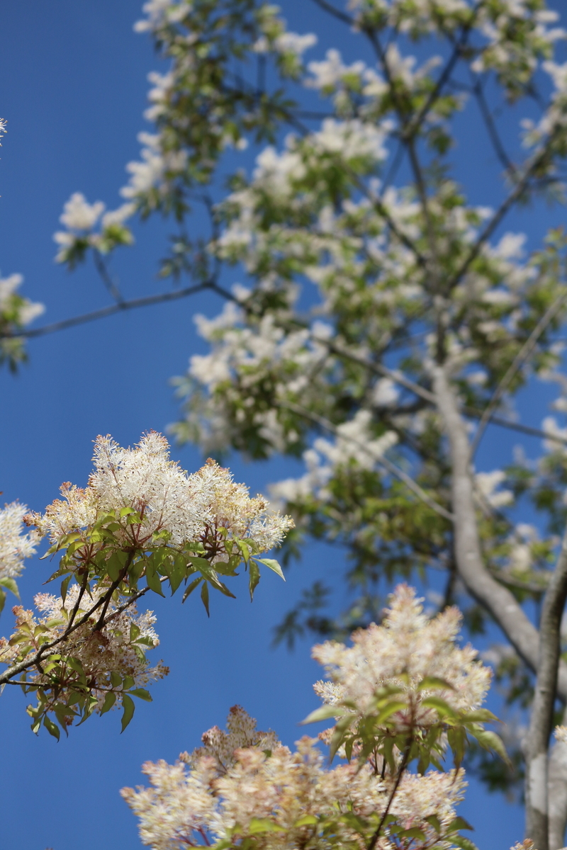 f:id:shiz1:20190413180526j:plain