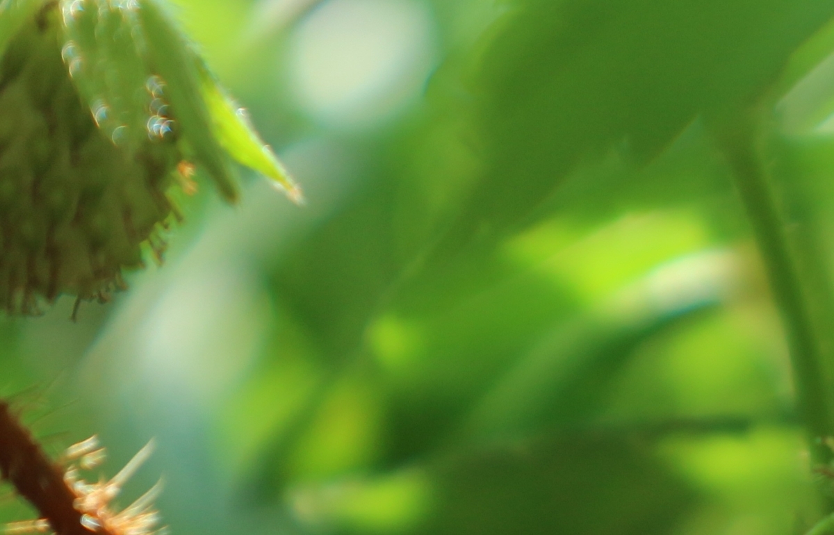 f:id:shiz1:20190504184828j:plain f:id:shiz1:20190504184828j:plain