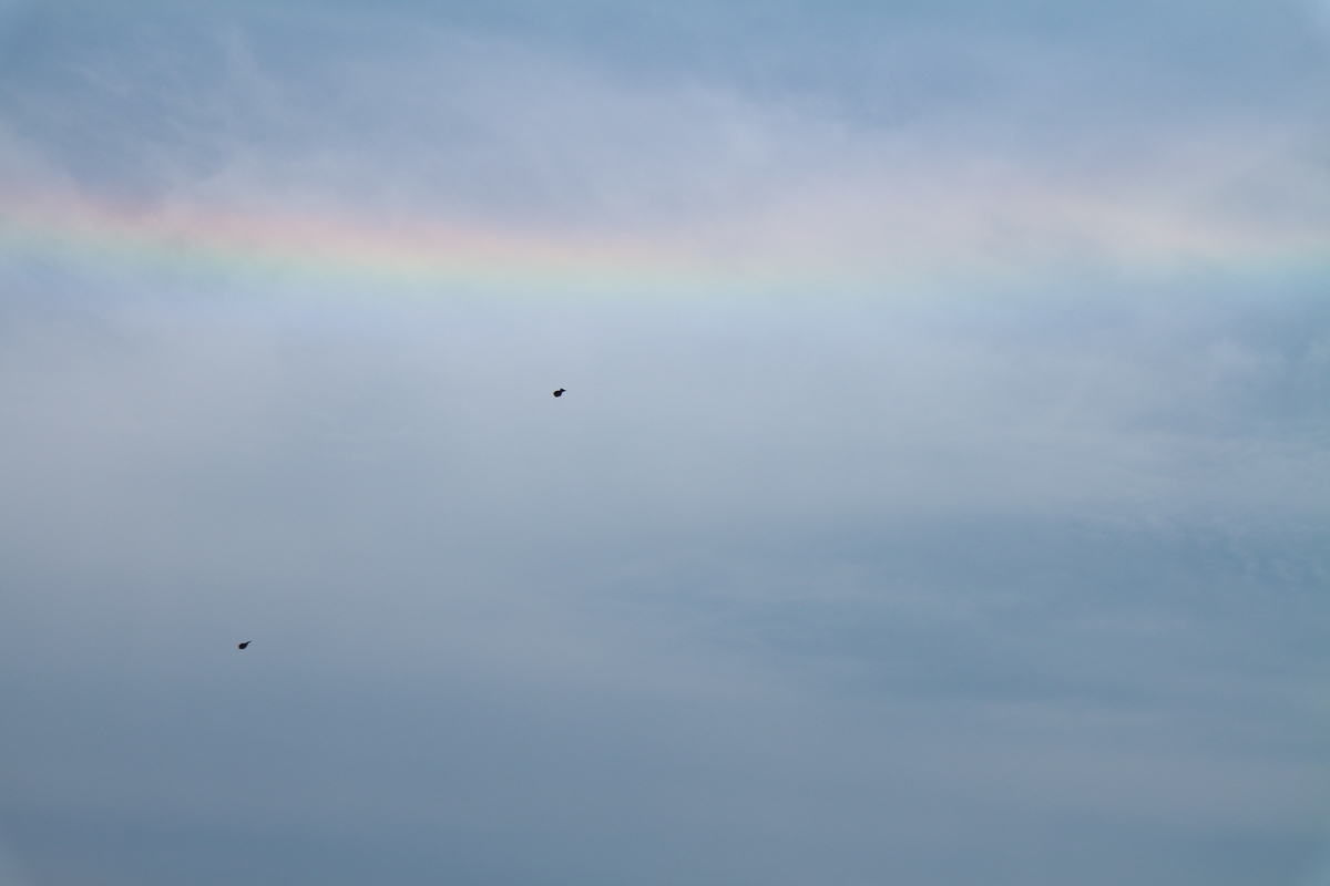 f:id:shiz1:20190515004522j:plain