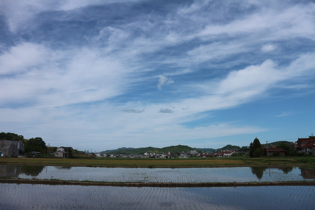 f:id:shiz1:20190522224854j:plain f:id:shiz1:20190522224854j:plain