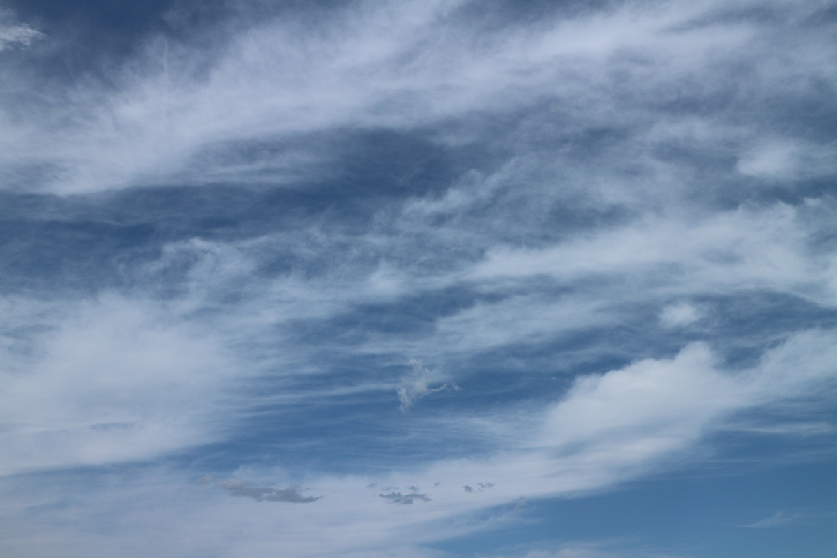 f:id:shiz1:20190522225259j:plain f:id:shiz1:20190522225259j:plain