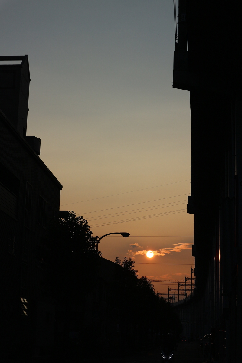 f:id:shiz1:20190726213004j:plain