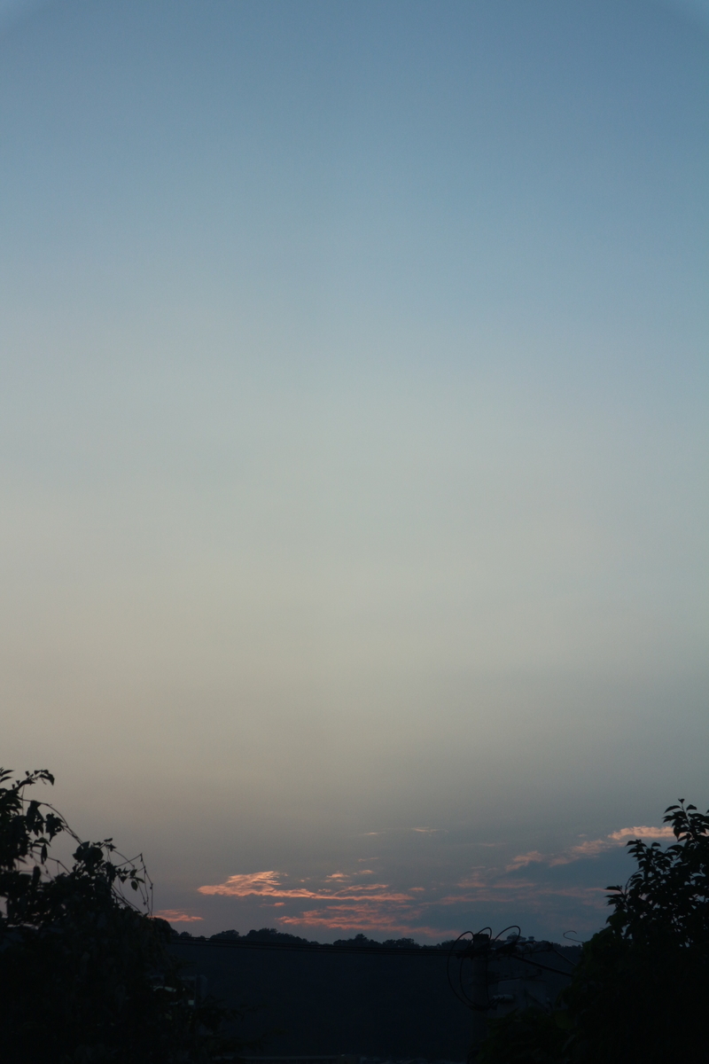 f:id:shiz1:20190726213300j:plain