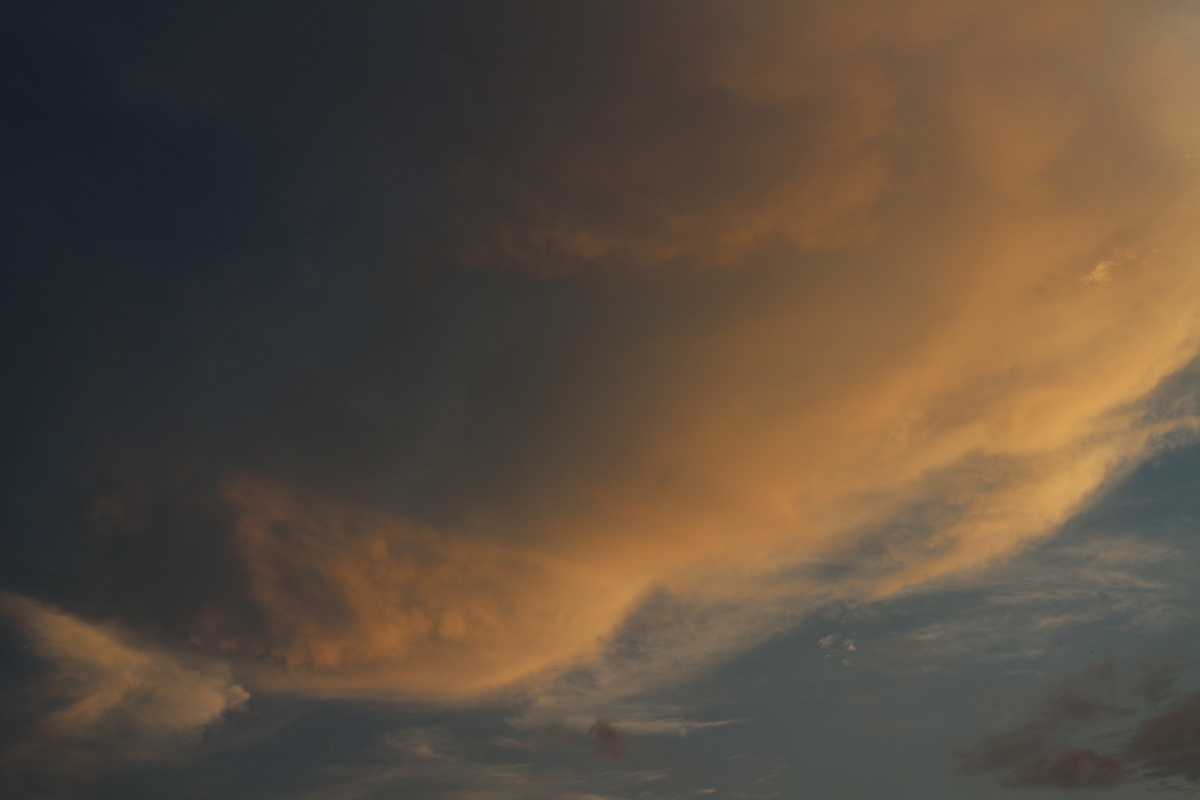 f:id:shiz1:20190728180107j:plain