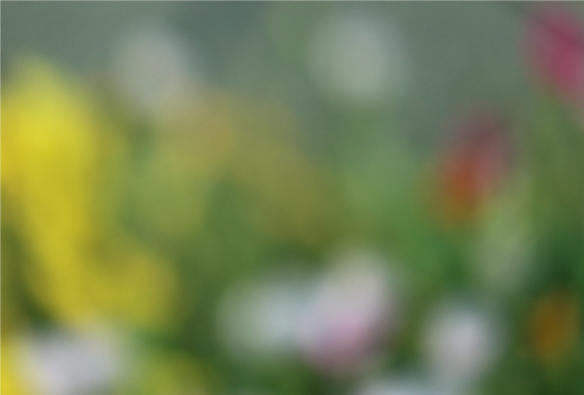f:id:shiz1:20190803225456j:plain f:id:shiz1:20190803225456j:plain