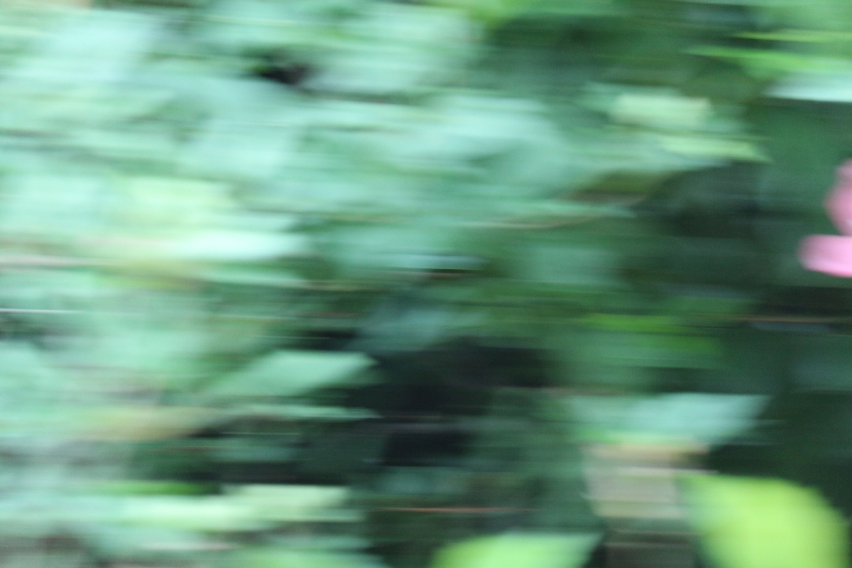 f:id:shiz1:20190803231732j:plain f:id:shiz1:20190803231732j:plain