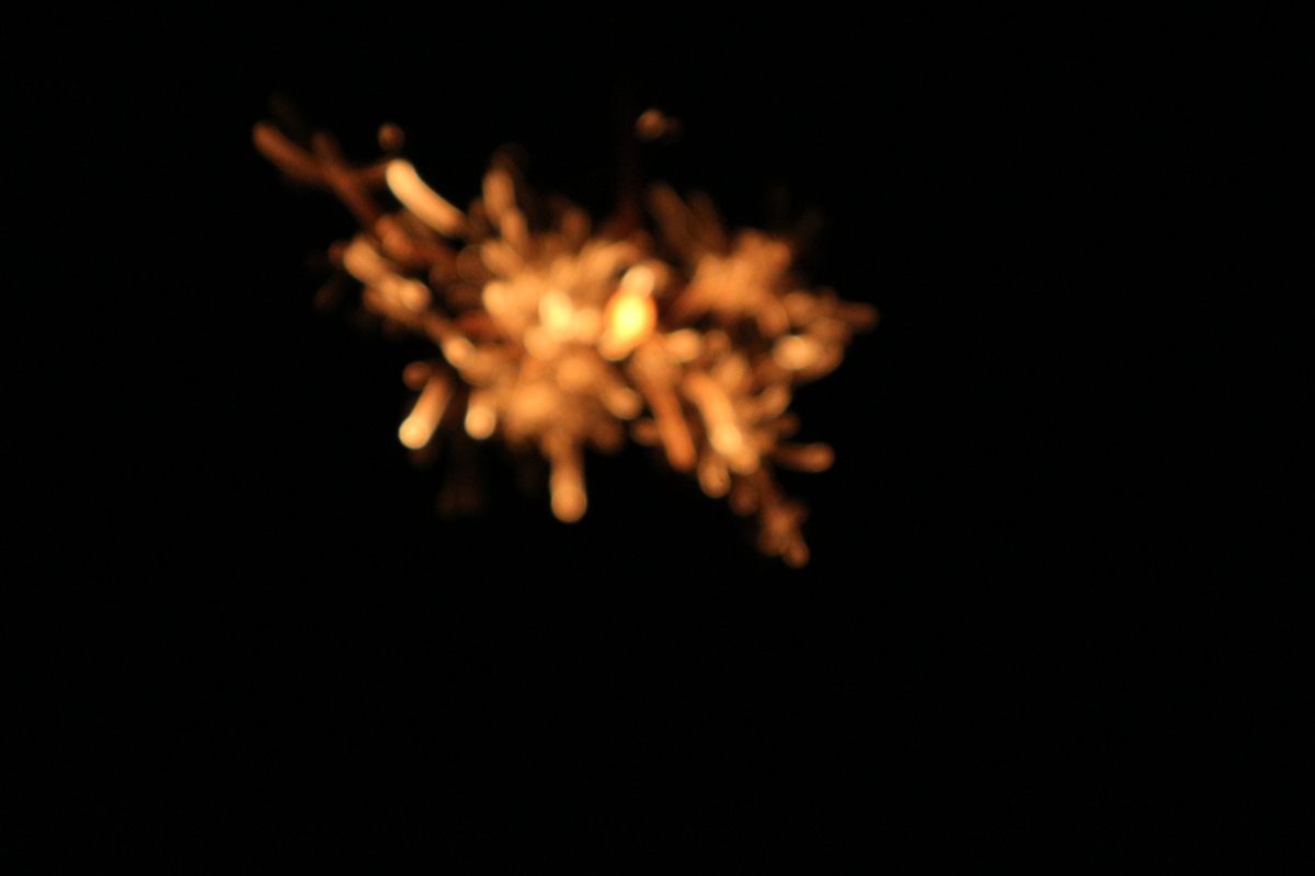 f:id:shiz1:20190814001802j:plain