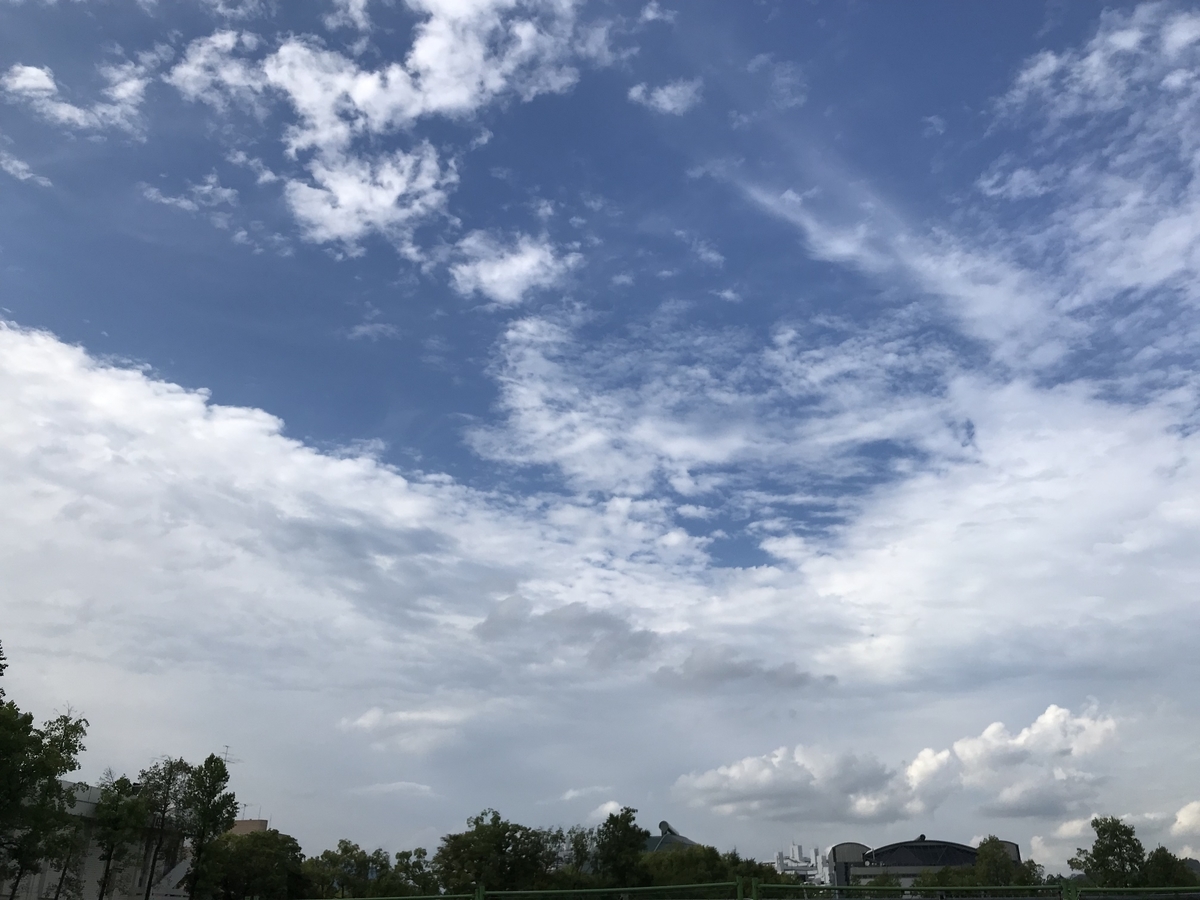 f:id:shiz1:20190831232651j:plain