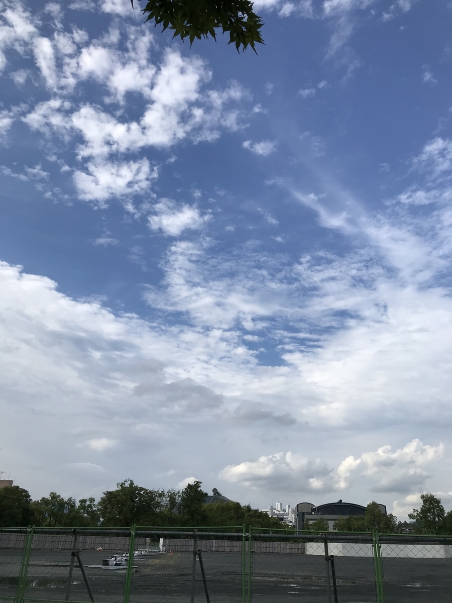 f:id:shiz1:20190831232835j:plain