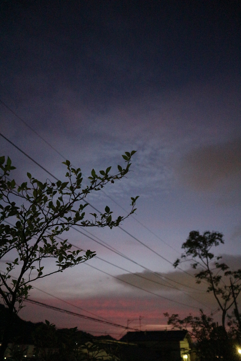 f:id:shiz1:20190901001714j:plain