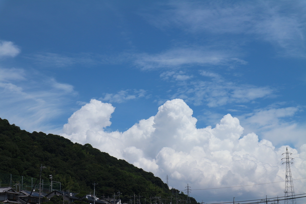 f:id:shiz1:20190909004543j:plain f:id:shiz1:20190909004543j:plain
