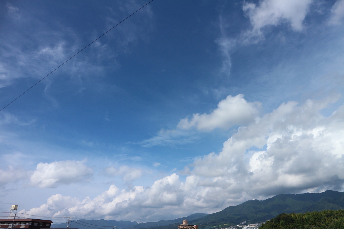 f:id:shiz1:20190910082941j:plain f:id:shiz1:20190910082941j:plain