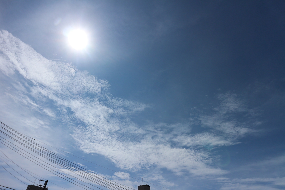 f:id:shiz1:20190910083130j:plain f:id:shiz1:20190910083130j:plain