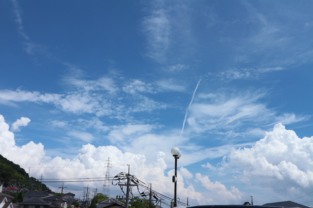 f:id:shiz1:20190910233713j:plain f:id:shiz1:20190910233713j:plain