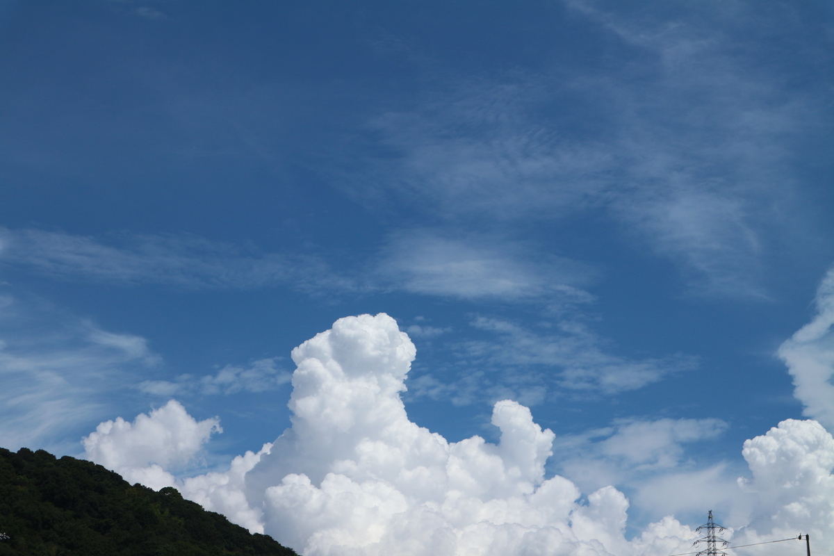 f:id:shiz1:20190910234319j:plain f:id:shiz1:20190910234319j:plain