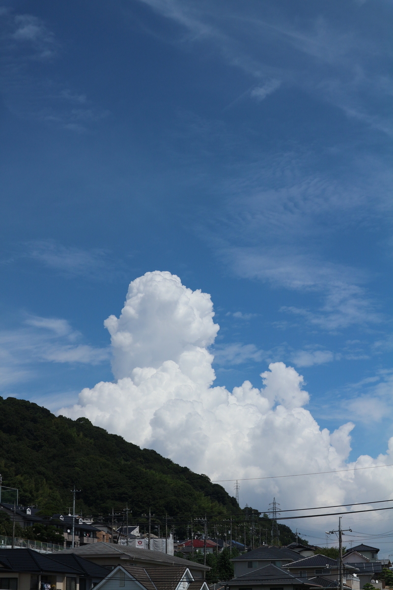 f:id:shiz1:20190910234445j:plain f:id:shiz1:20190910234445j:plain
