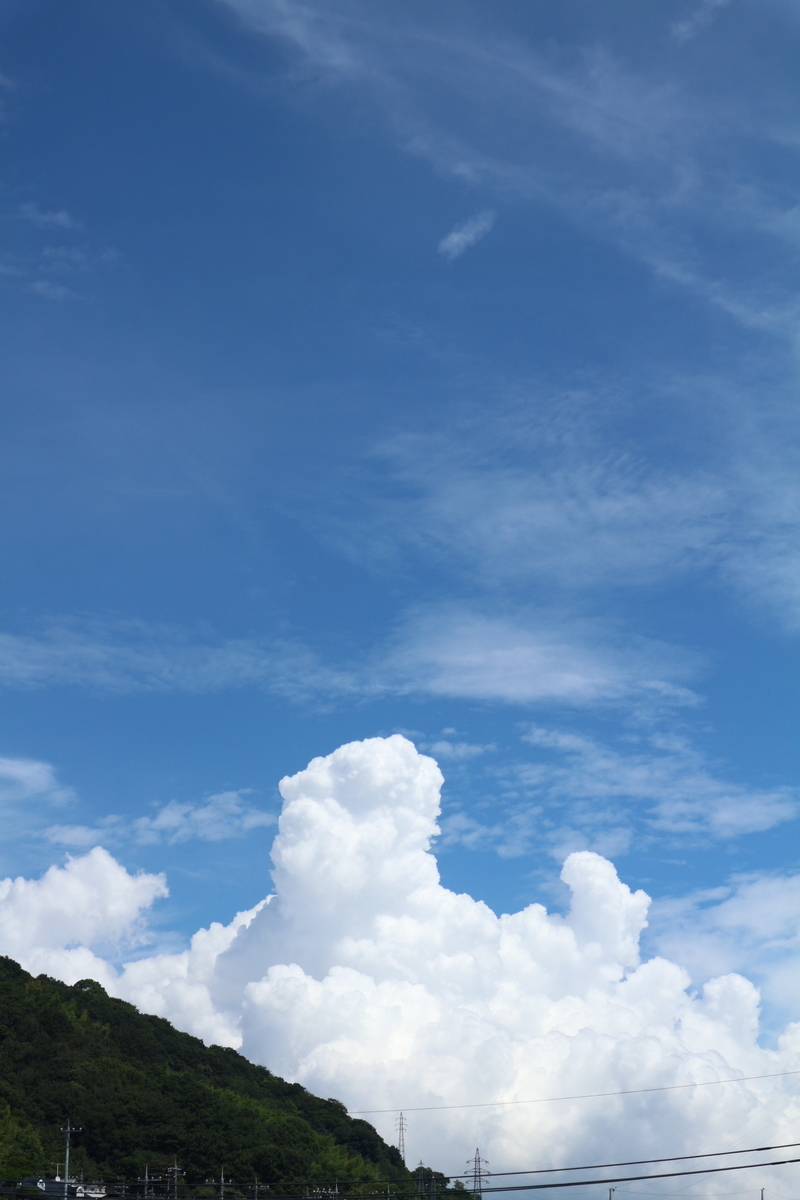 f:id:shiz1:20190911113310j:plain f:id:shiz1:20190911113310j:plain