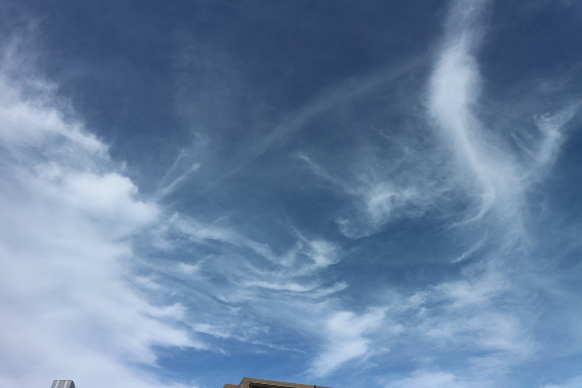 f:id:shiz1:20190911132204j:plain f:id:shiz1:20190911132204j:plain