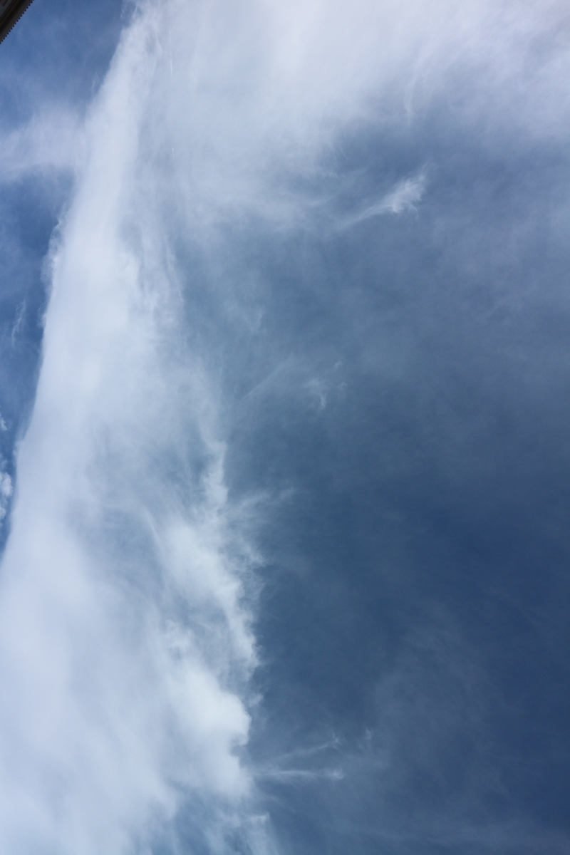 f:id:shiz1:20190911132241j:plain f:id:shiz1:20190911132241j:plain