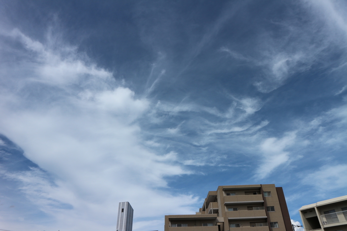f:id:shiz1:20190911133120j:plain f:id:shiz1:20190911133120j:plain