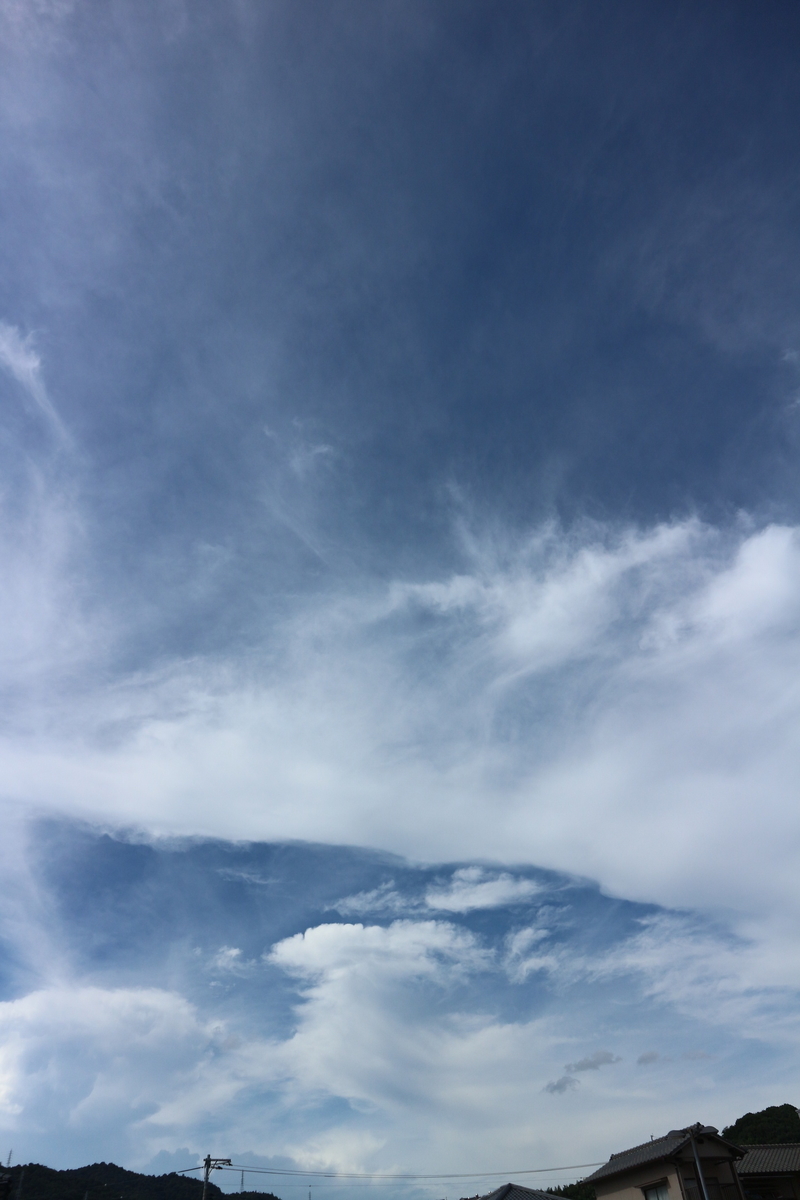 f:id:shiz1:20190911133214j:plain f:id:shiz1:20190911133214j:plain